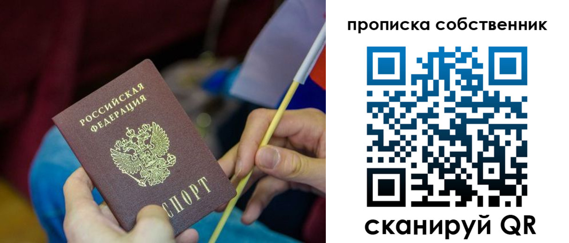 прописка в Волосово